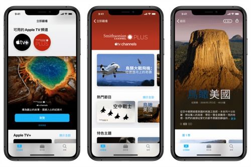 苹果注册多个域名指向apple one 是否推出今晚见分晓