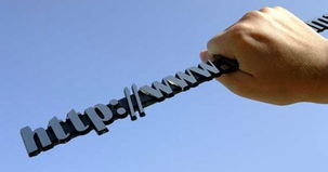 中国启动互联网品牌保卫战 首个顶级域名即将开放注册