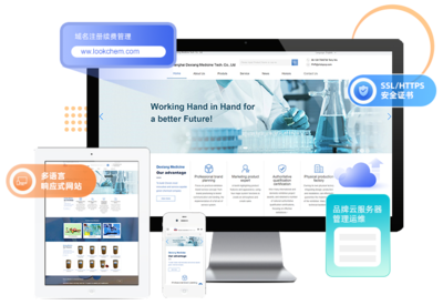 化工产品出口贸易的谷歌推广与独立站优化费用解析