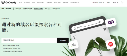 新手建站指南 如何选择适合的域名后缀，开启网站第一步