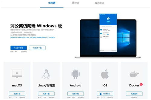 贝锐官网 一站式内网穿透、远程控制与域名注册解决方案