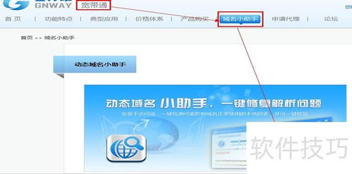 动态域名（DDNS）与NAT下的域名注册使用指南