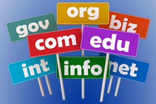 做网站域名注册要避开这些坑