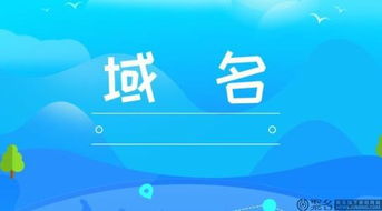 企业域名注册的流程